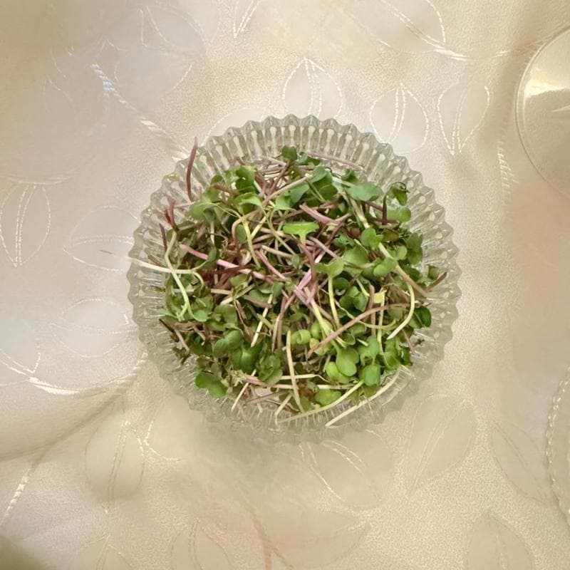 Taça de cristal com microverdes recém-colhidos, verdes e roxos